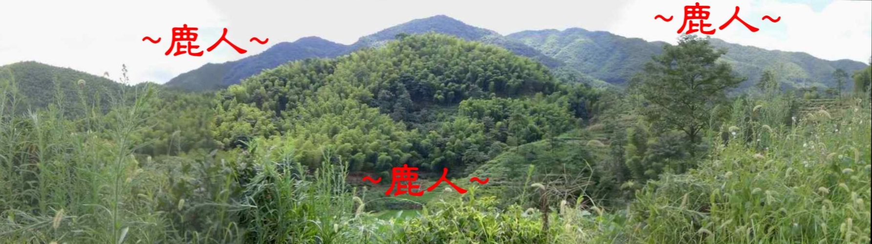 3048137-1看絲線吊銅鐘站在案山看穴場(銅鐘)照.JPG
