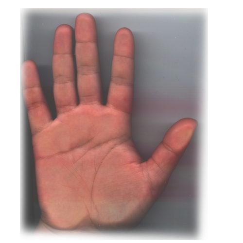 256150-未命名 - 2.jpg