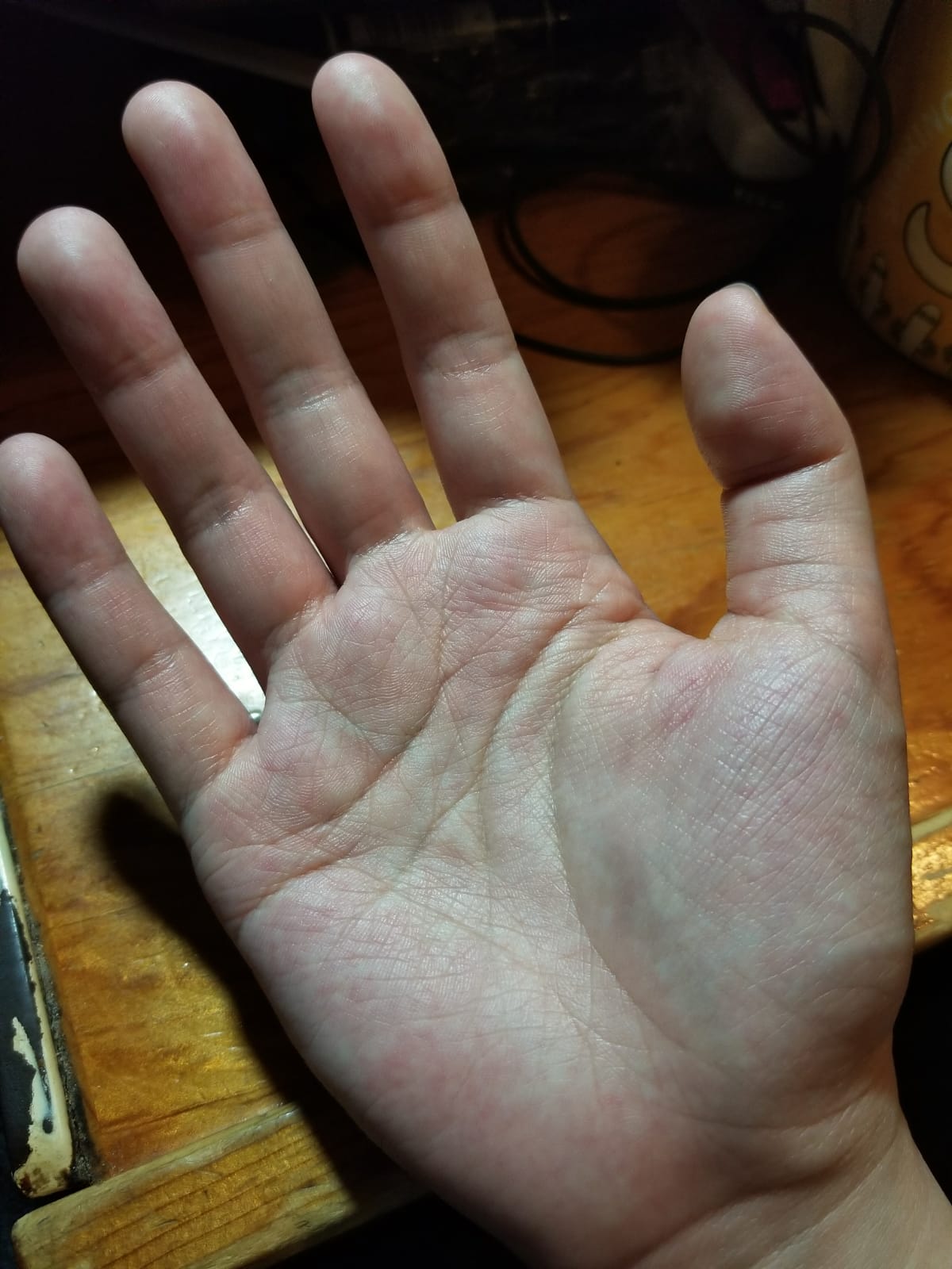 WhatsApp Image 2018-04-08 at 05.18.48 (2).jpeg