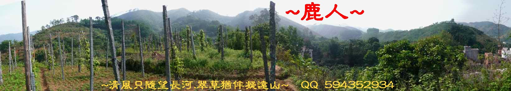 騎_3於龍方遠側看行龍與穴山下脈.JPG