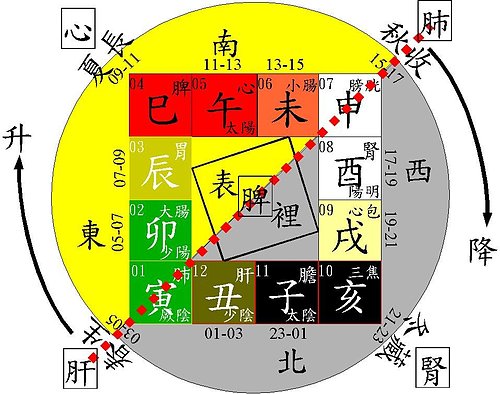 斗數命盤與四季與十二經絡.jpg