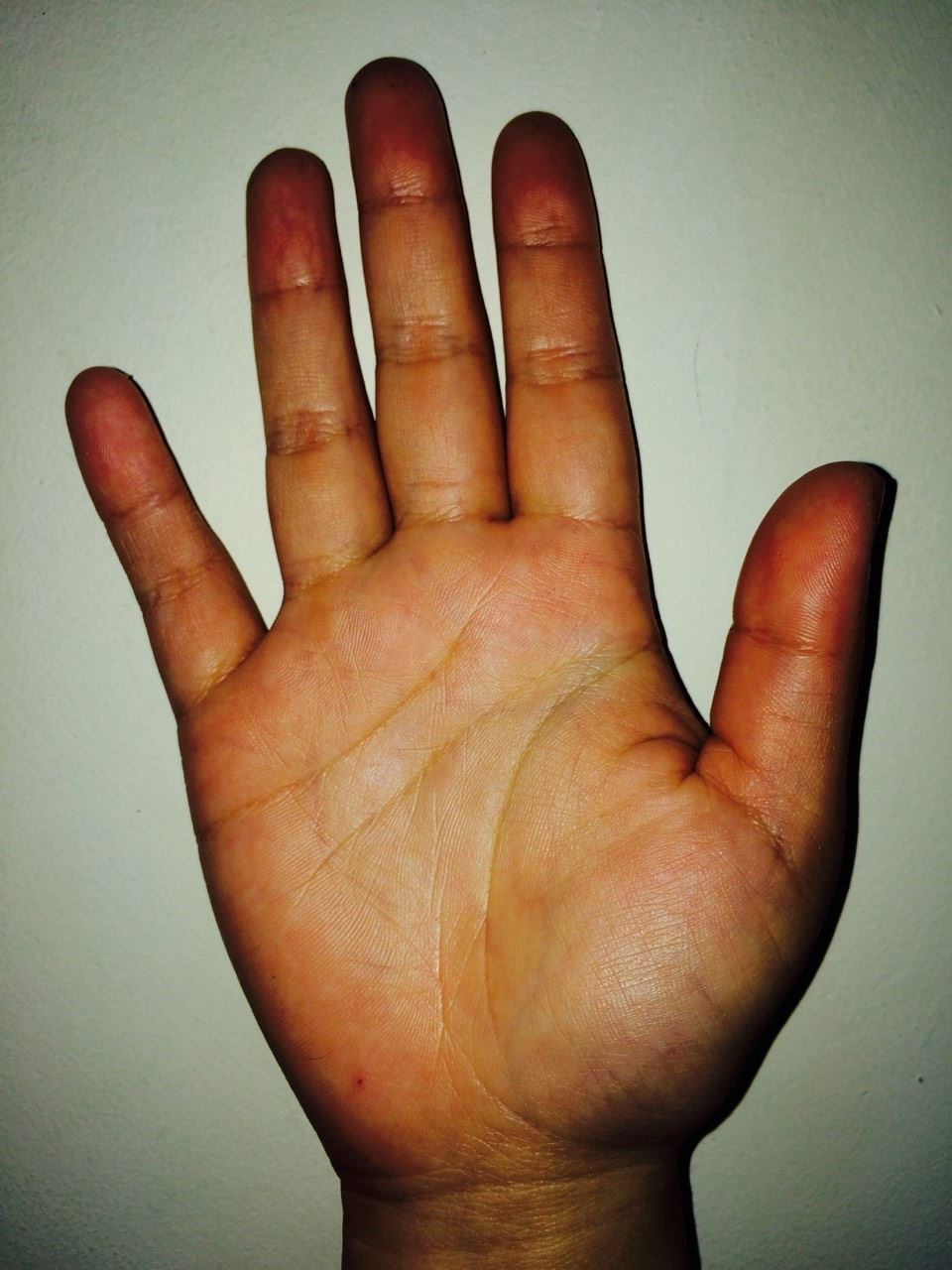 11174417_1107759182572966_3932928262420455135_o.jpg 11174417_1107759182572966_3932928262420455135_o.jpg