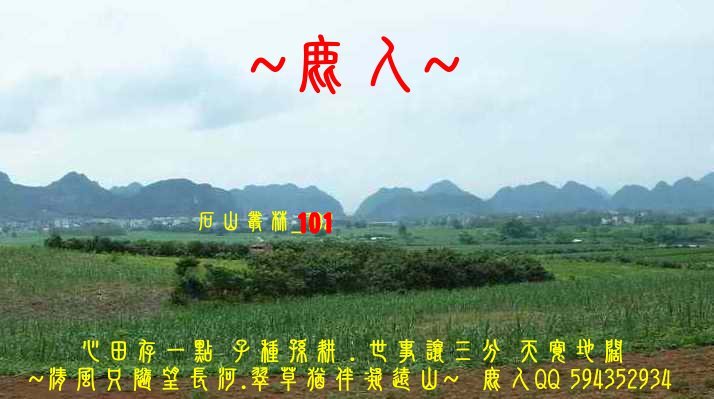石山叢林_101.JPG