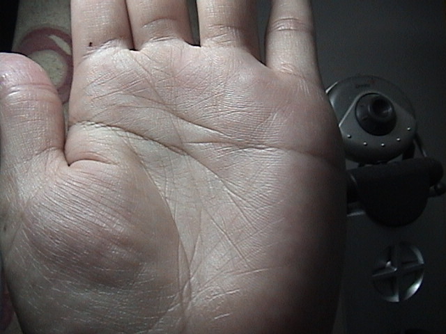 623698-貓照片 116.jpg