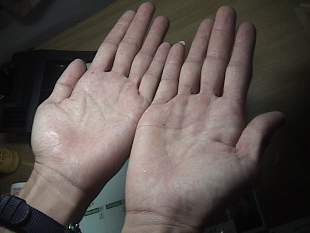 629563-貓照片 155.jpg