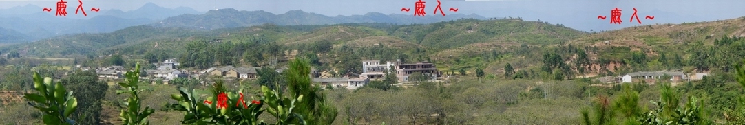 2475597-複製Stitched_088.JPG 2475597-複製Stitched_088.JPG