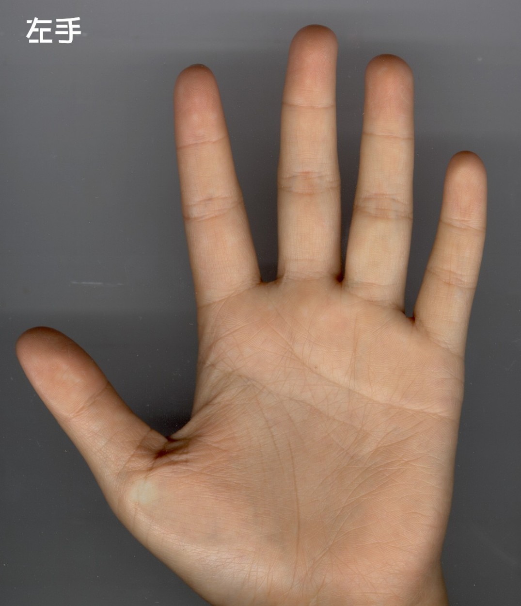 232053-左手.jpg