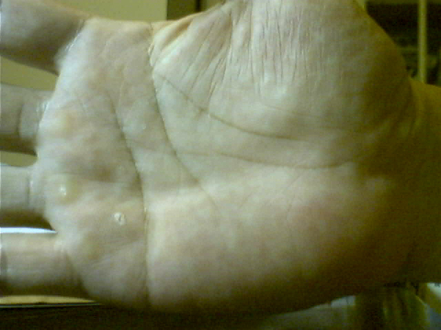 596615-圖片 53.jpg