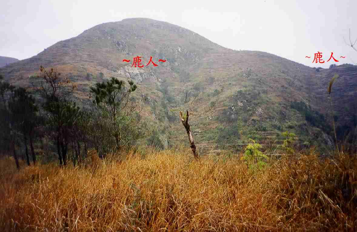 1671189-看祖山下脈開帳.jpg 1671189-看祖山下脈開帳.jpg