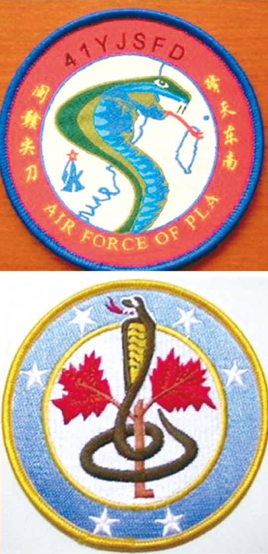 福建空軍41旅的臂章.jpg