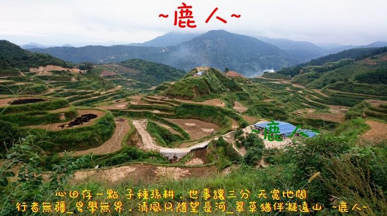 DSC_1315.JPG DSC_1315.JPG