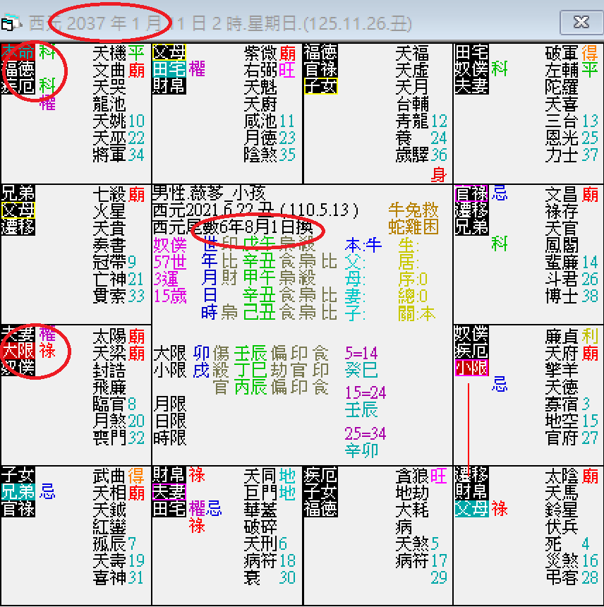 螢幕擷取畫面 2025-01-11 020216.png