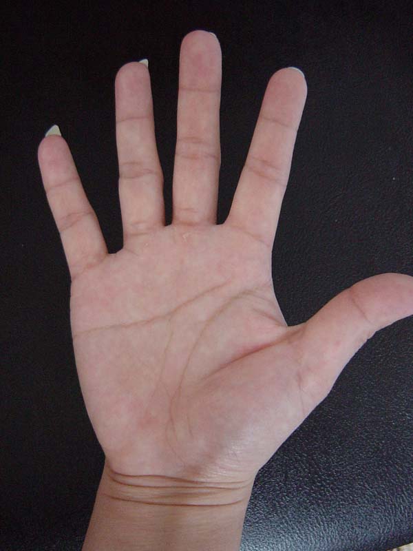 586423-hand 002.jpg