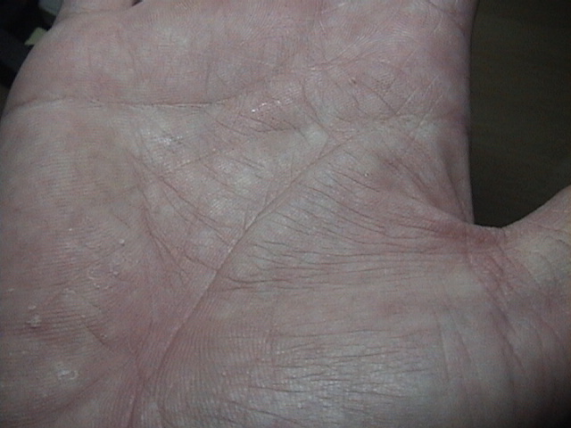 629557-貓照片 153.jpg