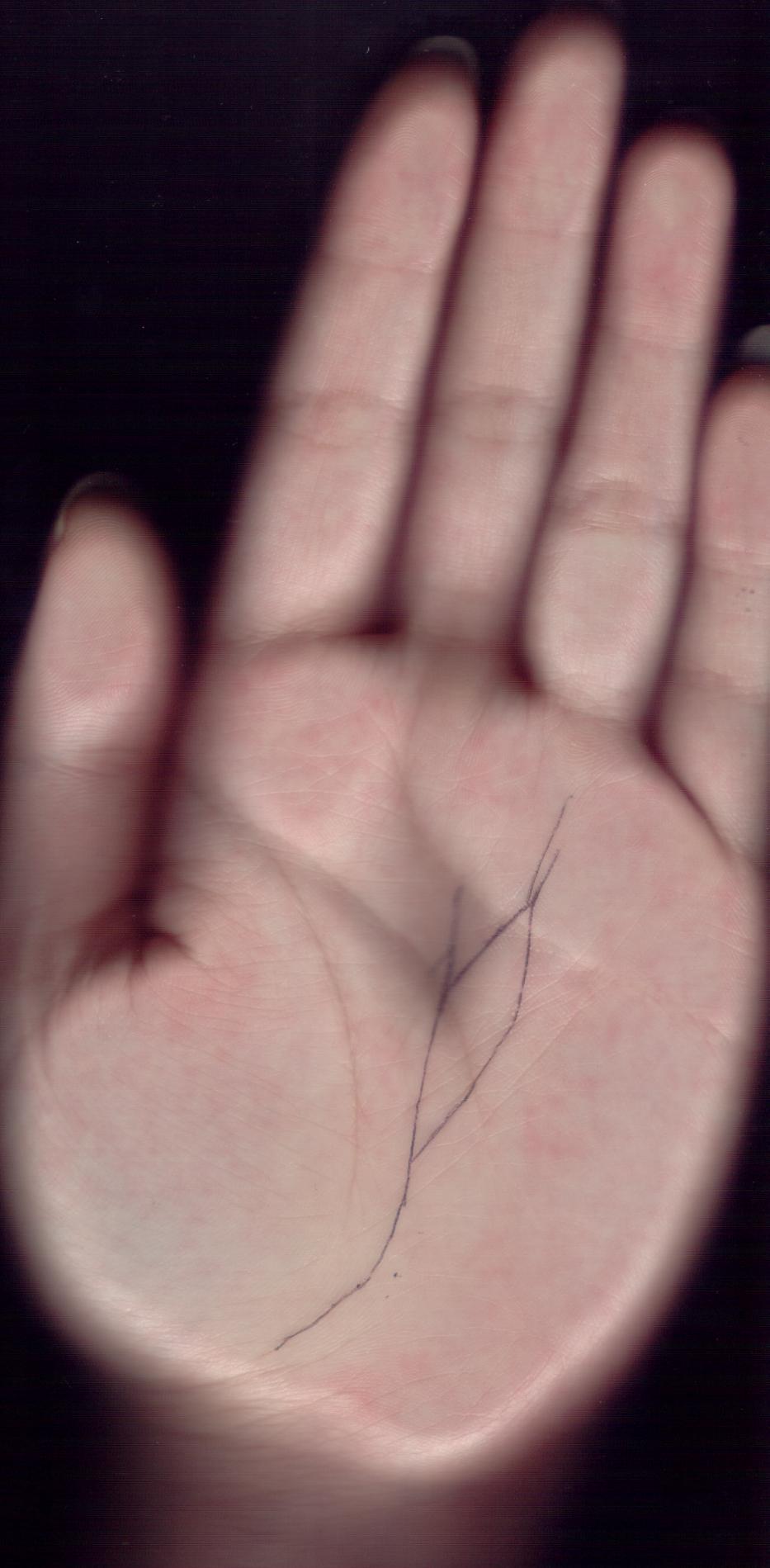 303373-我的手 - 2.jpg