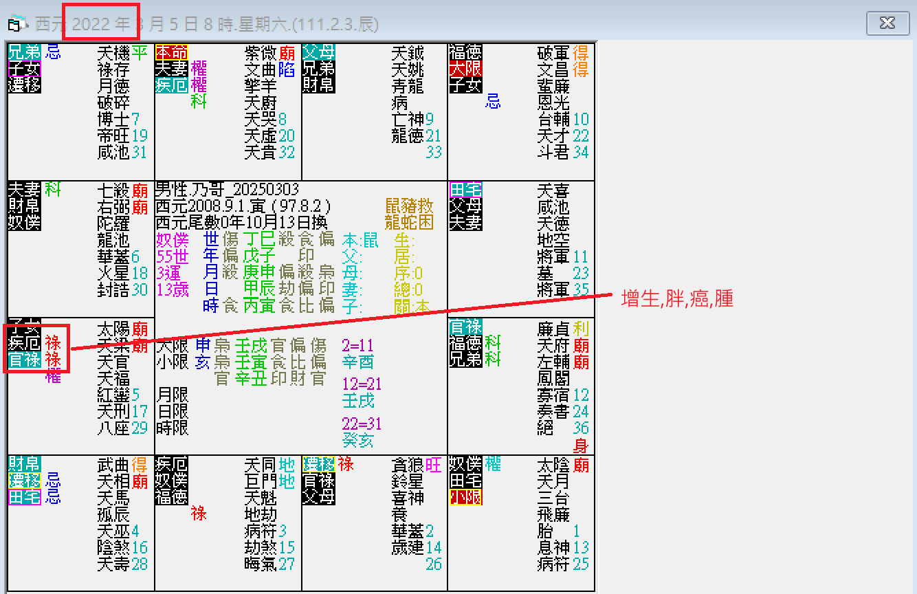 螢幕擷取畫面 2025-03-05 084950.png