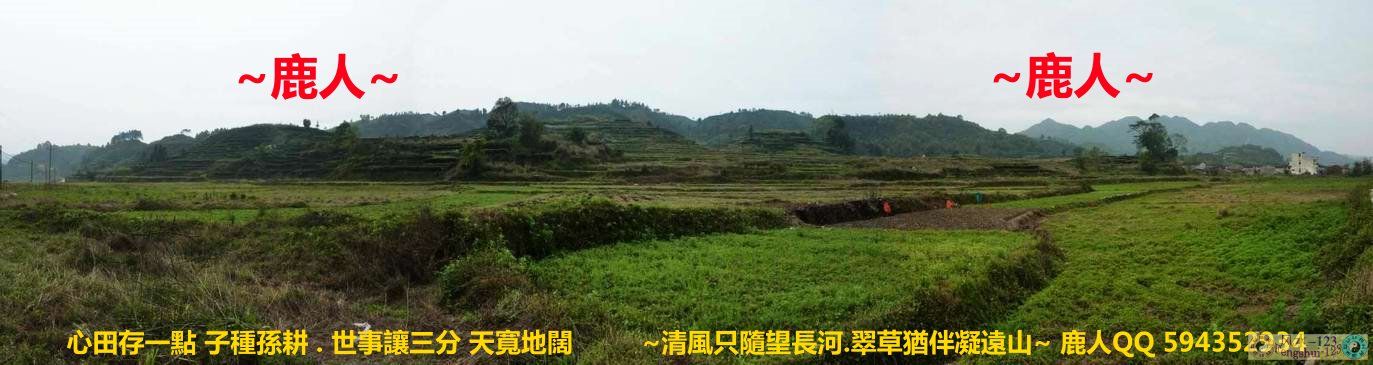 想飛1.jpg 想飛1.jpg