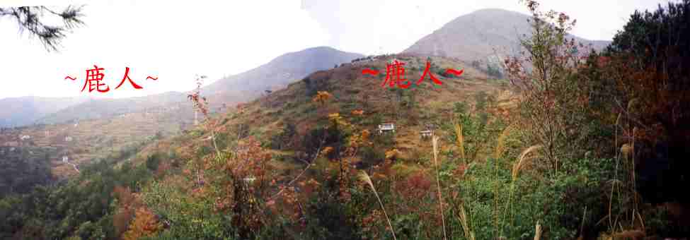 1673993-側看來龍祖山下脈剝換全景.JPG 1673993-側看來龍祖山下脈剝換全景.JPG