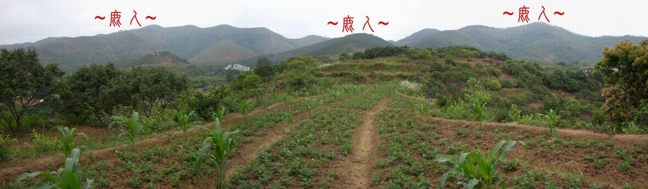 2044215-複製看祖山父母山來龍與束氣下脈全景.JPG