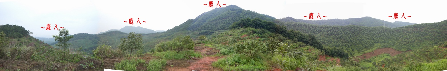 2123569-5複製看祖山開帳過峽全景.JPG