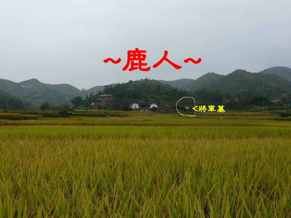 A13遠正看穴山.JPG