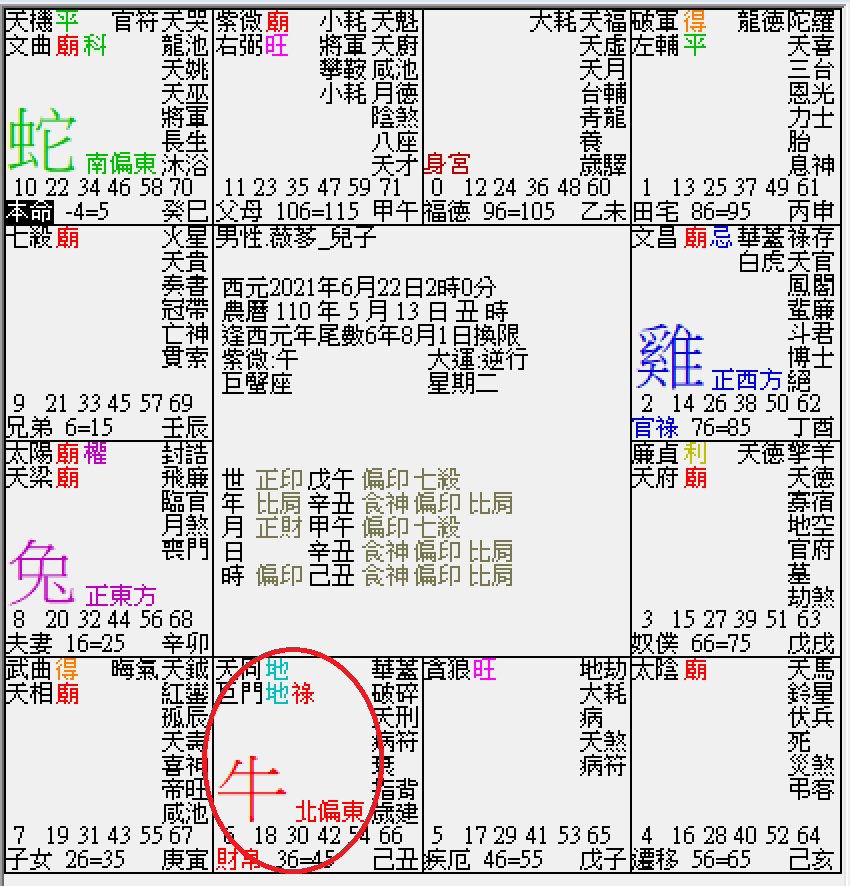 螢幕擷取畫面 2025-01-11 232225.png