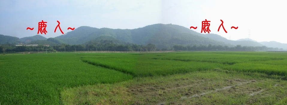 2364415-複製Stitched_001.JPG 2364415-複製Stitched_001.JPG