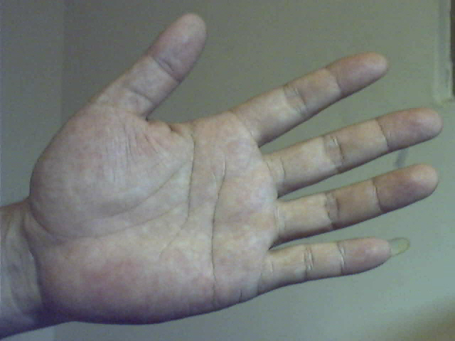 596610-圖片 50.jpg