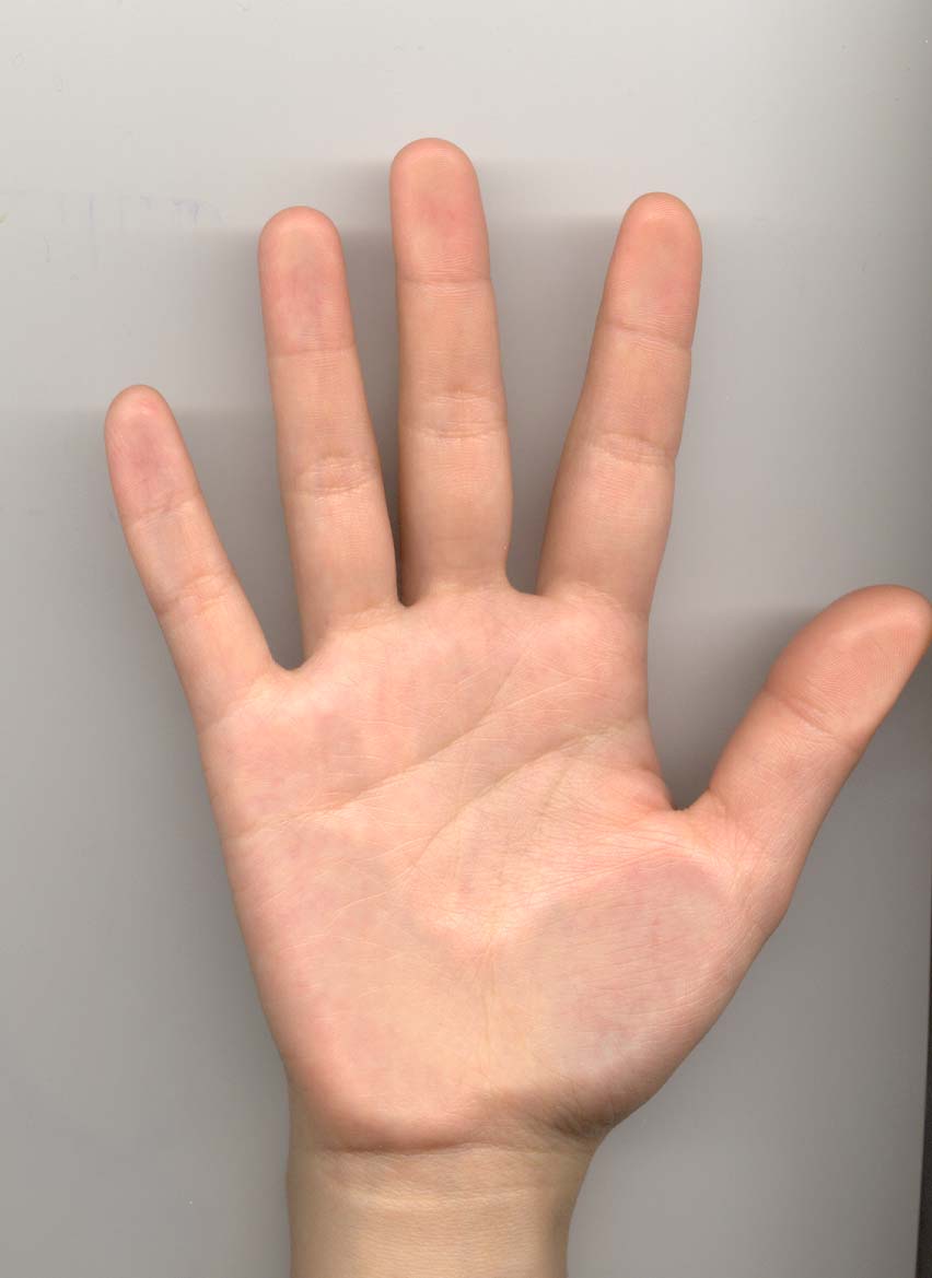 108695-Untitled-21 copy.jpg