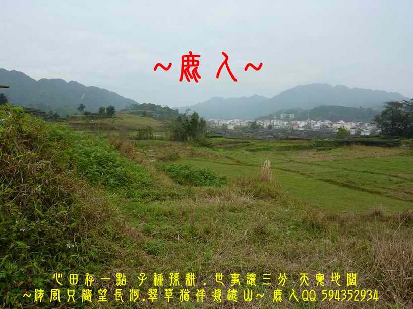 想飛3.jpg 想飛3.jpg