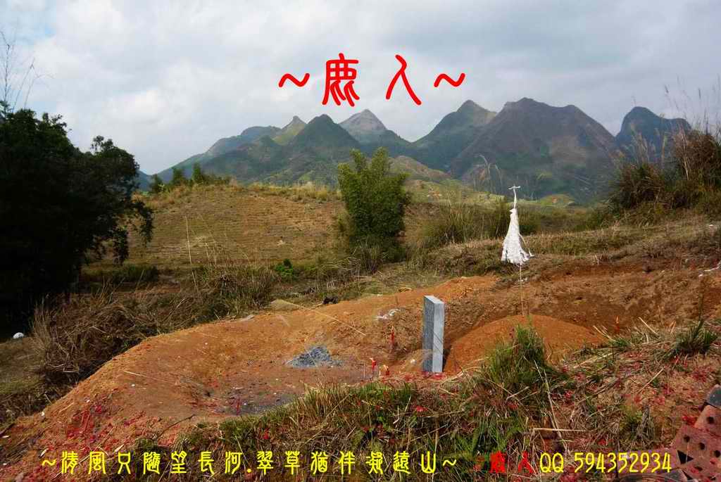 1石山叢林_15.jpg