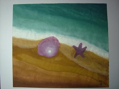 貝殼與海星.JPG