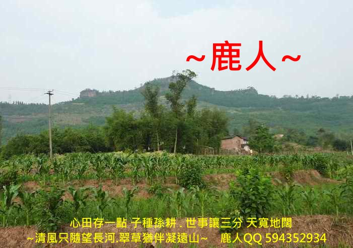 獨尊_01.JPG 獨尊_01.JPG