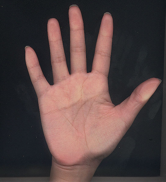 325911-right hand.JPG