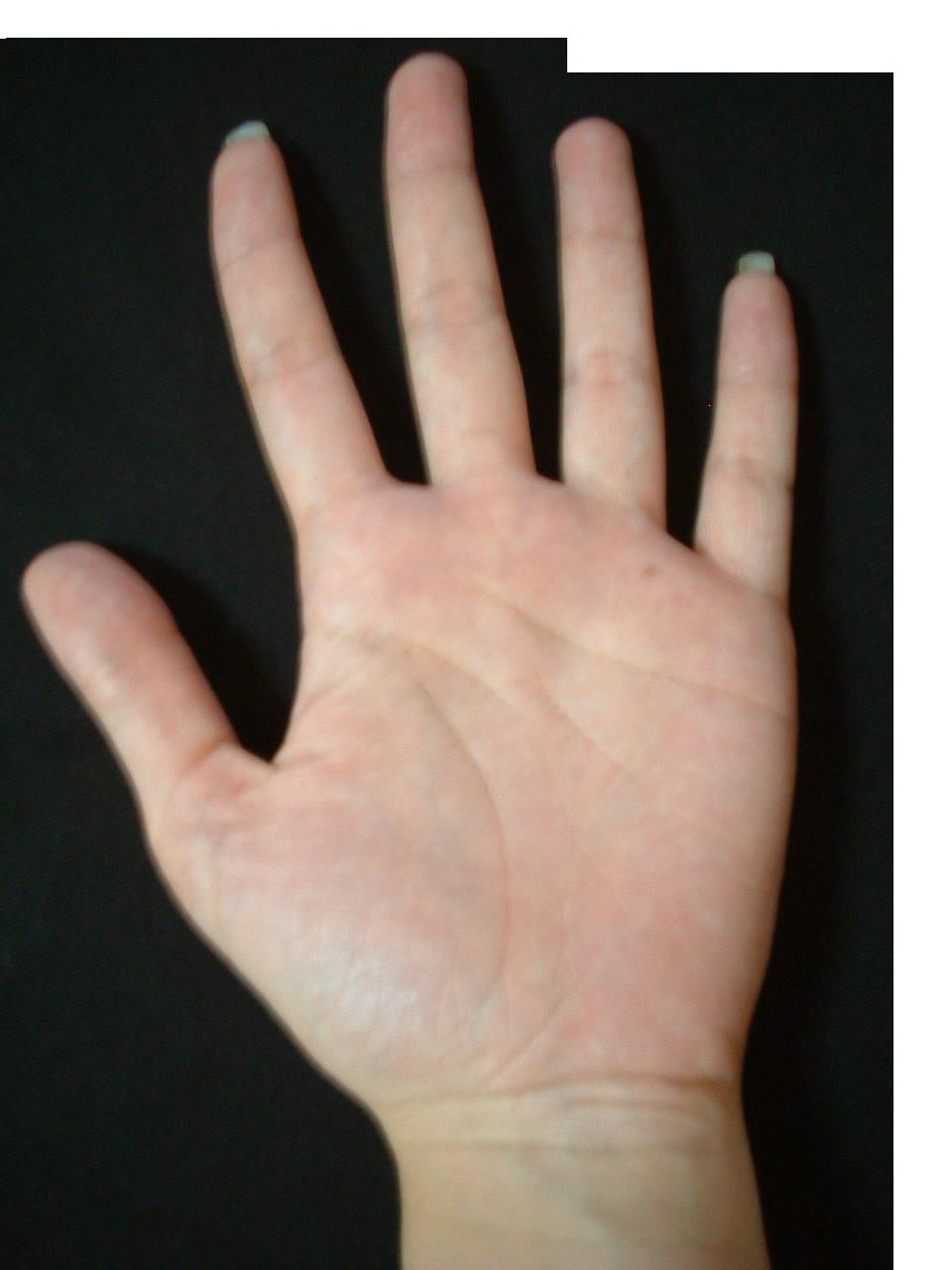 523558-照片 2133785020f.JPG