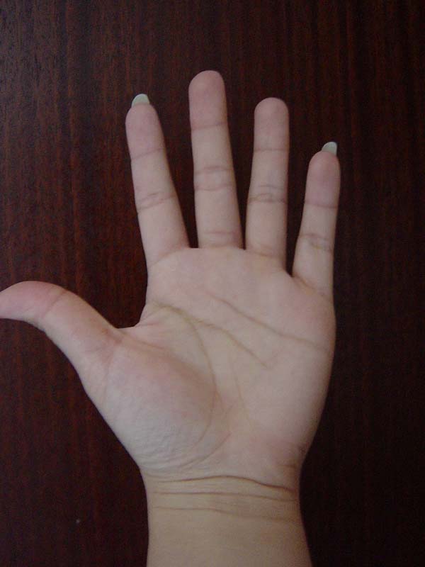 586424-hand 003.jpg
