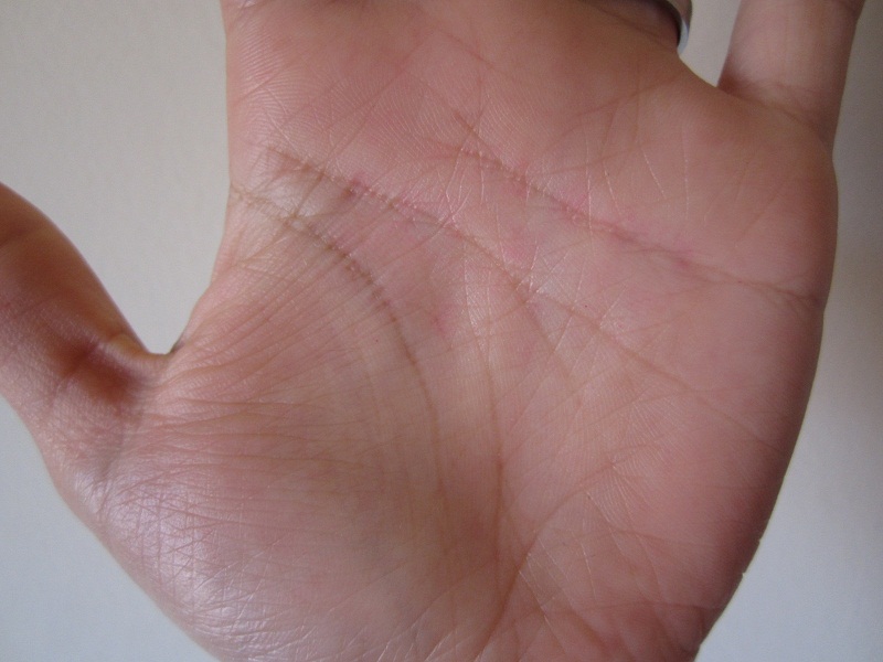 2012-11-20 10.53.02.jpg