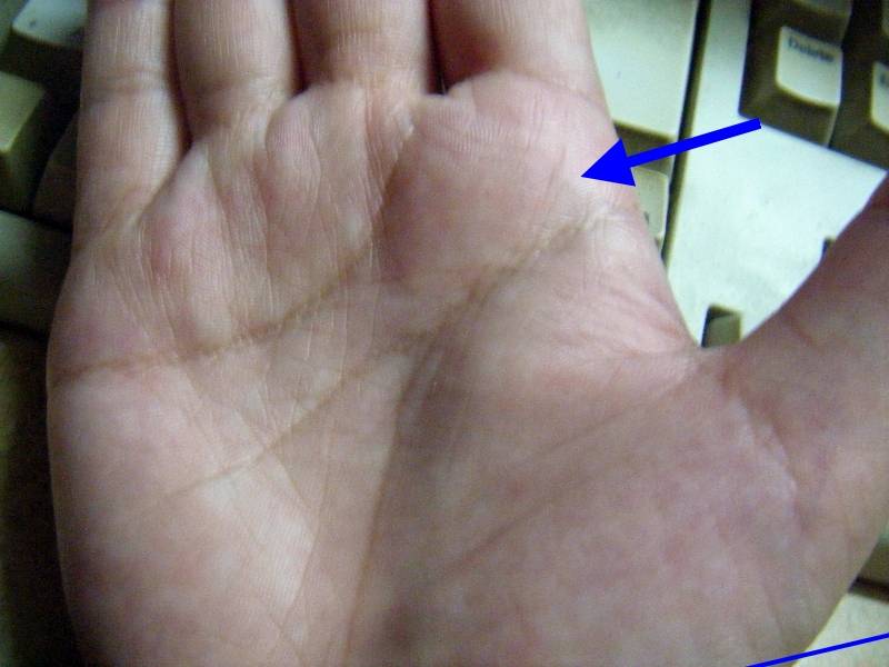 DSCF0037.jpg DSCF0037.jpg