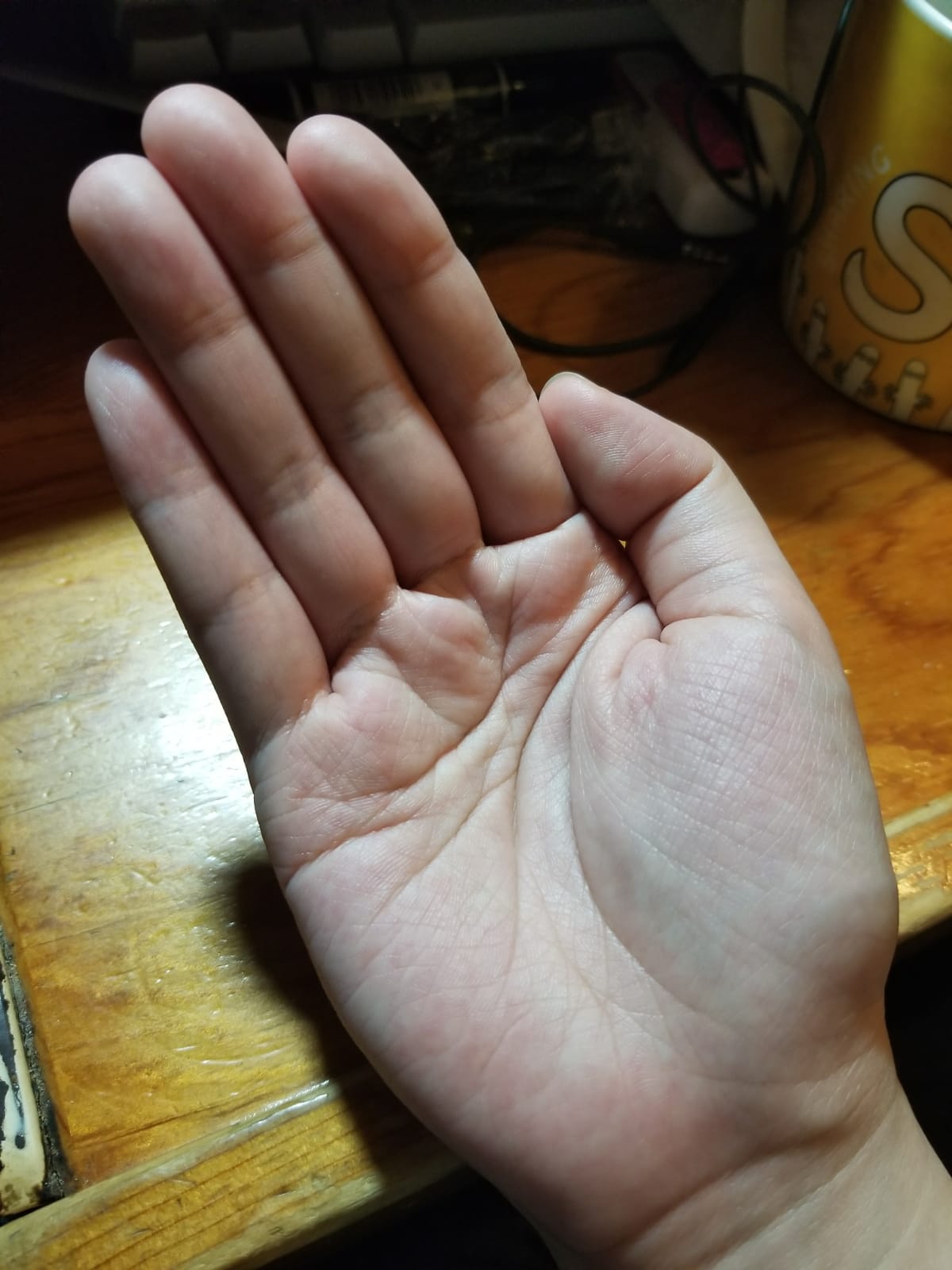 WhatsApp Image 2018-04-08 at 05.18.48 (1).jpeg