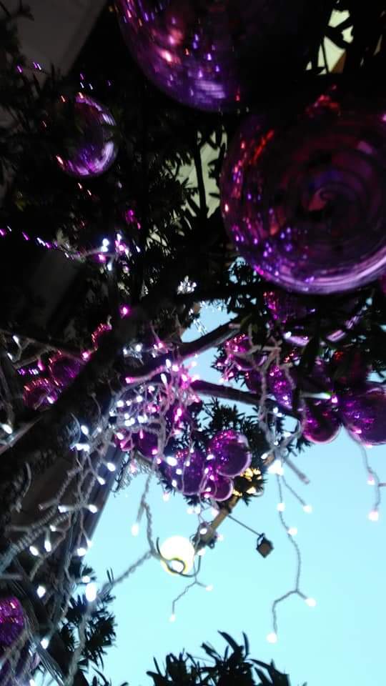 FB_IMG_1576300232960.jpg FB_IMG_1576300232960.jpg