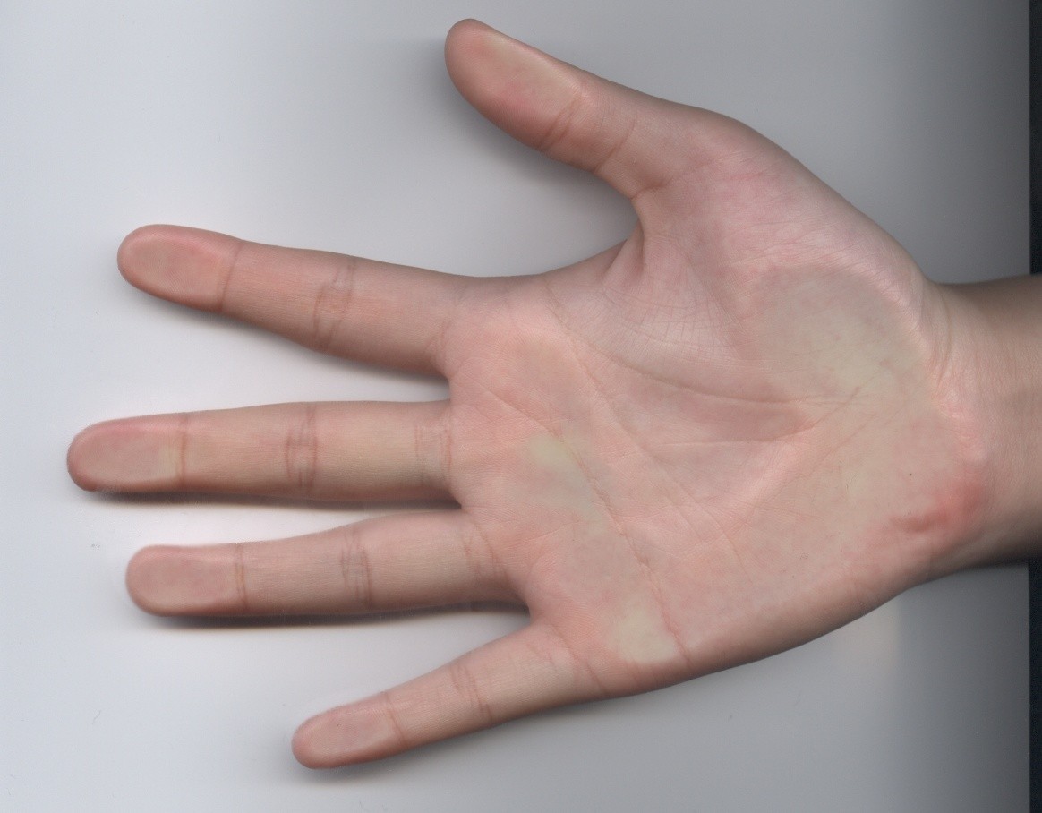 259432-palm print.JPG