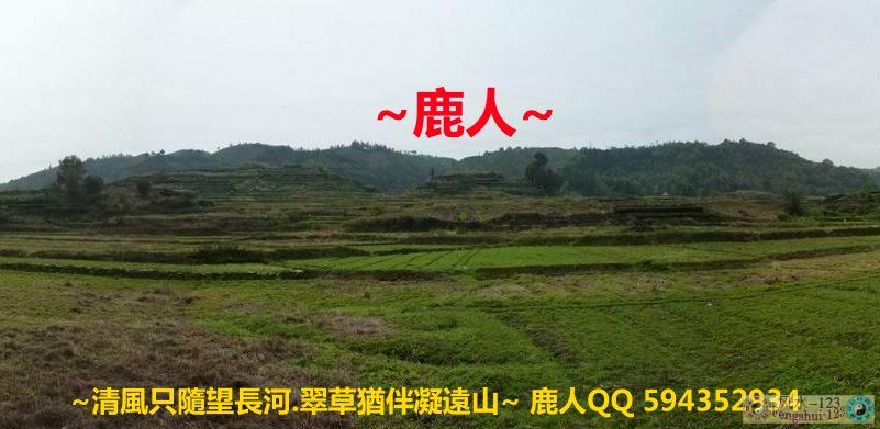 想飛2.jpg 想飛2.jpg