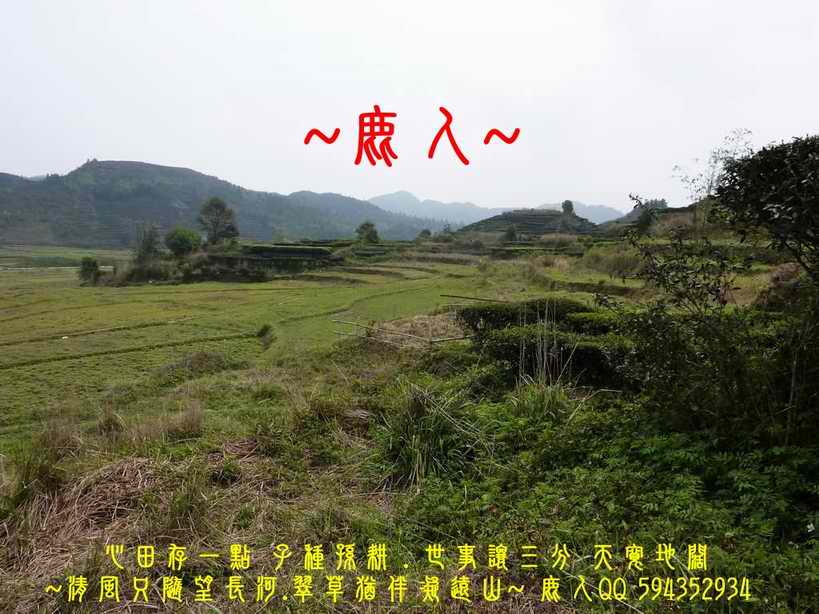 想飛4.jpg 想飛4.jpg