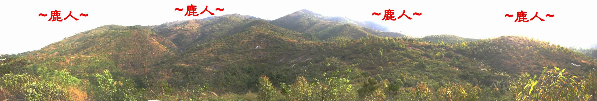 2521721-Stitched_005.JPG 2521721-Stitched_005.JPG