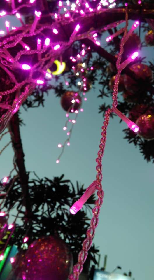 FB_IMG_1576457908096.jpg FB_IMG_1576457908096.jpg