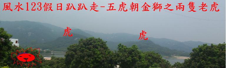 兩隻老虎.JPG