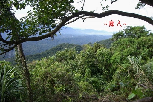 2367639-複製11在祖山頂下脈處看過峽來龍右帳一節.jpg