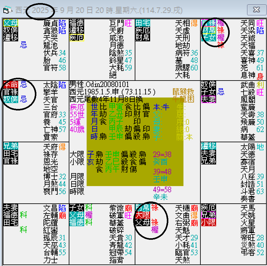 螢幕擷取畫面 2024-09-20 204308.png