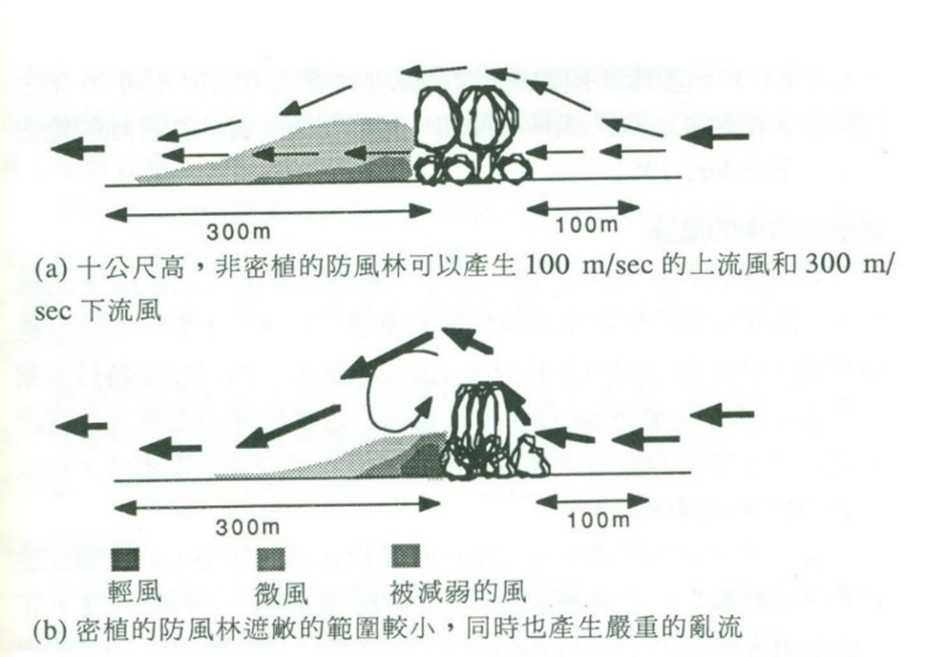 風水林對於風速之影響（依據《環境規劃與基地開發》）.jpg