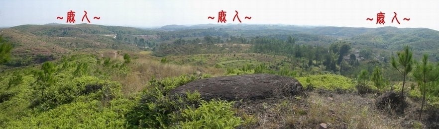 2489326-複製複製看後段行龍與堂局.JPG 2489326-複製複製看後段行龍與堂局.JPG